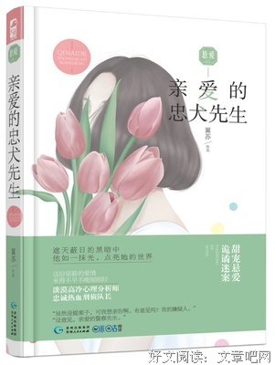 最全的《亲爱的爱情》小说句子