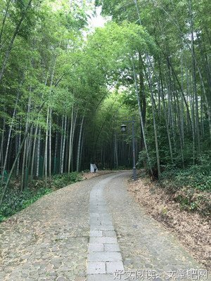 《心静自然禅》经典名句