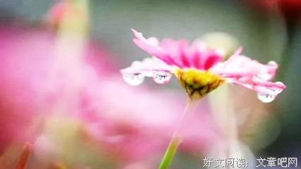 六尘的名言_关于六尘的名言