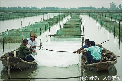 关于荷生名言名句