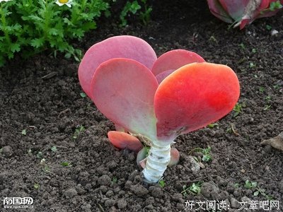 所见所闻的名人名言