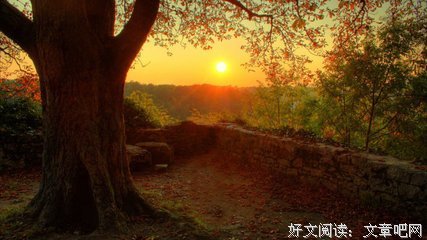 最爱的经典名句
