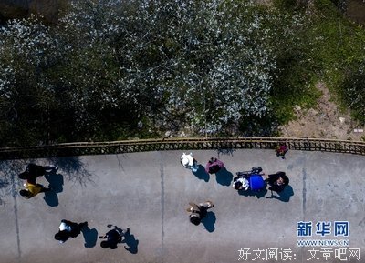 如诗如画明媚