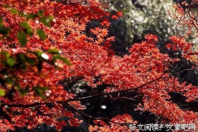 天长地久，是多久。优美的句子