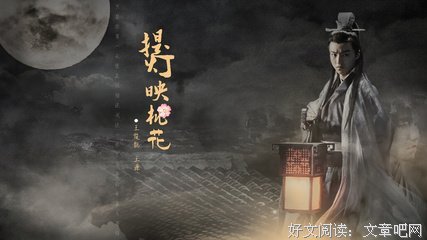 最全的《提灯映桃花》小说书摘