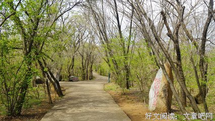 最全的《最美遇见你》经典名句大全