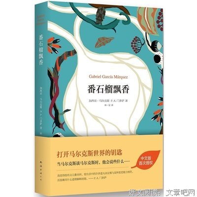 最新的《番石榴飘香》经典语句