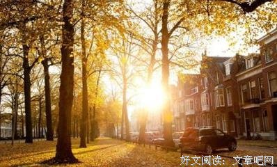 最全的《自卑与超越》经典语句大全