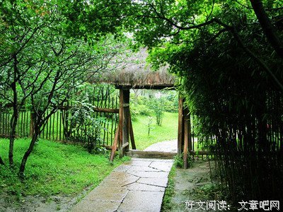 最新的《许我向你看》语录摘抄大全