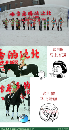 最新的《送你一匹马》经典名句