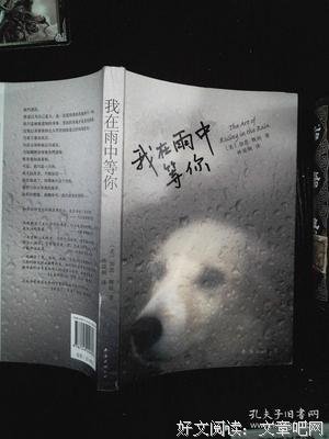 《我在雨中等你》小说书摘