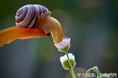 平凡的日子，也有别样的精彩