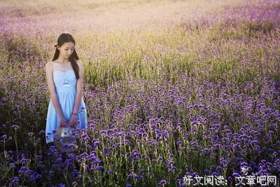 卿这把爱，倾家而爱句子