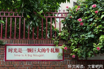 喜欢的句子