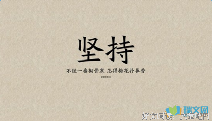 小说作家名句句子大全