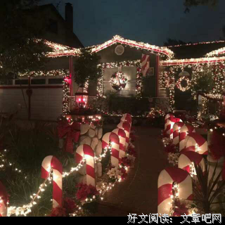 我也曾经憧憬过 种就也来心不结果经典的句子