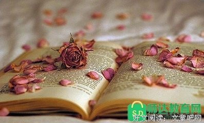 情感的优美句子