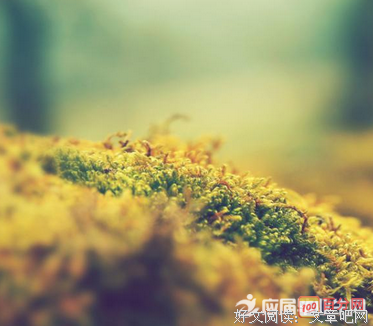 有关弗洛伊德经典名句