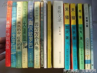 最新的《1973年的弹子球》小说摘抄大全