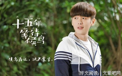 《十五年等待候鸟》小说句子大全