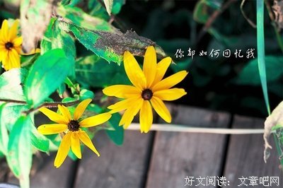 《地藏占察经卷下》经典名句大全