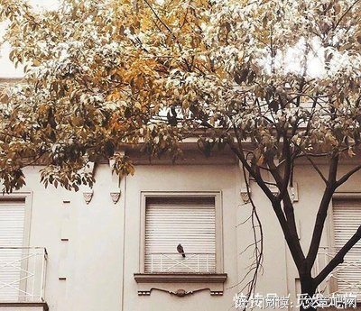 最新的《我所理解的生活》经典语句