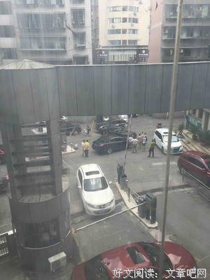 papi酱妈妈：养你不如养条狗。