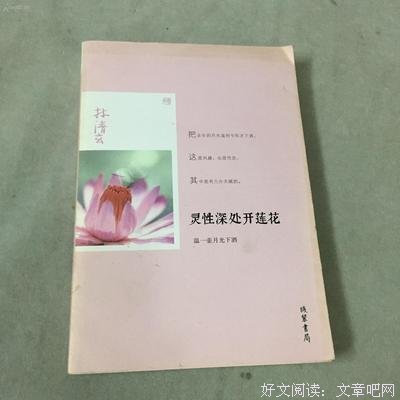 最经典的《灵性深处开莲花》经典的句子