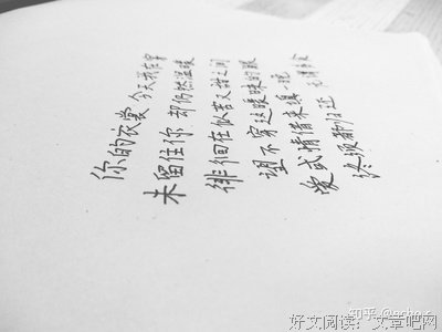 《爱你就像爱生命》经典的句子大全