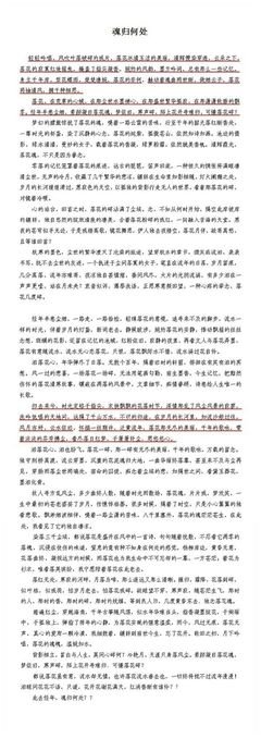 《落花时节又逢君》小说摘抄大全