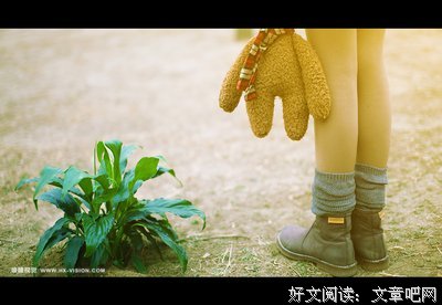 最新的《这个杀手不太冷》经典名句