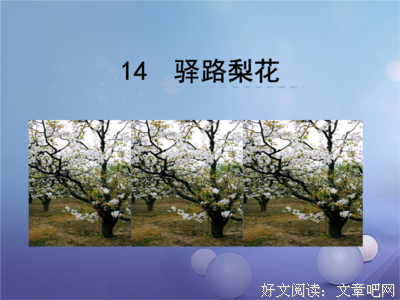 描写朱实的经典句子