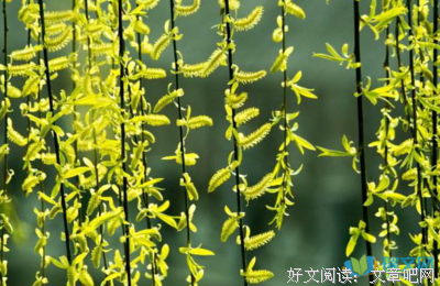 描写波光潋滟的语句摘抄
