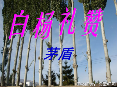关于伟岸的语句