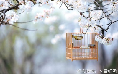 席慕蓉句子大全