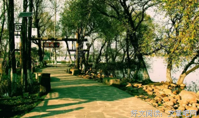 成他西有阳光落下经典的句子