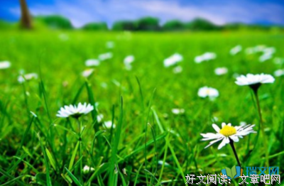 《为安格的雪样年华》佳句摘抄