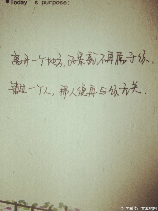 《你若盛开，清风自来》语录摘抄