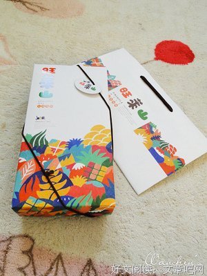 《我想送你一颗黑凤梨》经典句子
