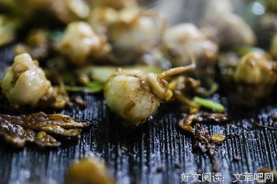 成吉的名句_关于成吉的名句