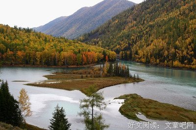 人生如茶大智慧：无利心、有专心
