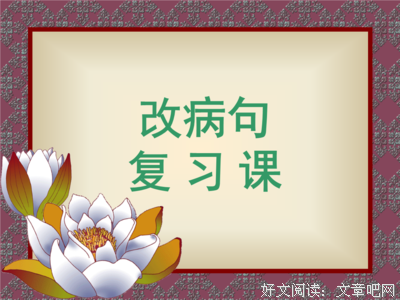 用外小毛句子