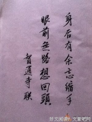 关于红楼梦的句子