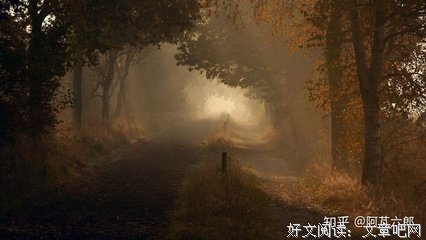 最经典的苏珊·福沃德的名句