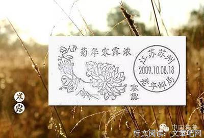 凌寒独傲名言