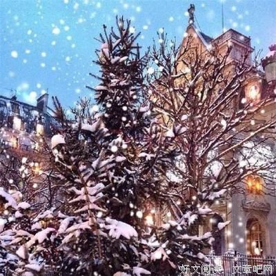 最经典的爱不释手星人名言大全