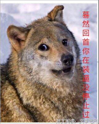 最全的《凉生，我们可不可以不忧伤》名句欣赏