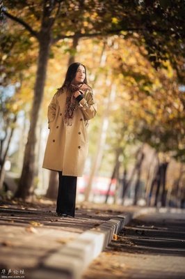 最经典的《感谢时间让我将你安然遗忘》散文美句