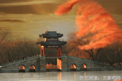 最经典的《霸气宝宝：黑道大哥请靠边》佳句摘抄
