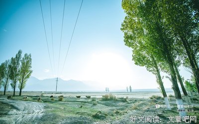 最经典的《星国利便院Ⅲ利便生潘朵小开格秘境》动漫经典台词大全